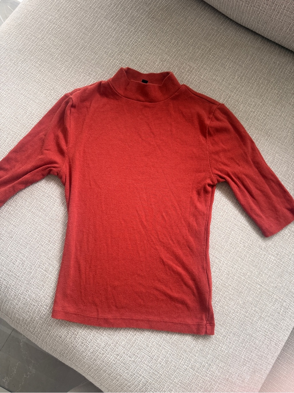 Express Rust Red Mock Neck Short Sleeve Top